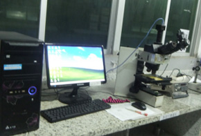 OLYMPUS������΢��